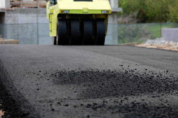 Best Residential Driveway Paver Services  in Flora Vista, NM