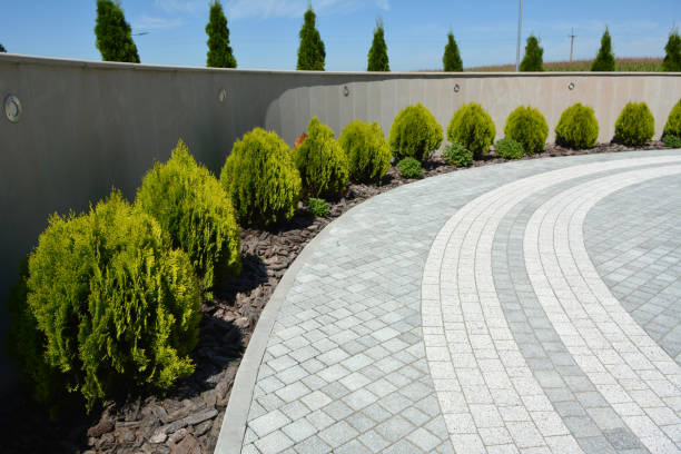Best Concrete Paver Driveway  in Flora Vista, NM