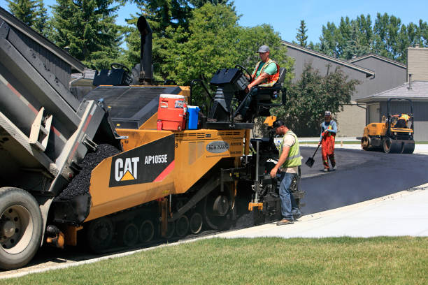 Best Driveway Repair Near Me  in Flora Vista, NM